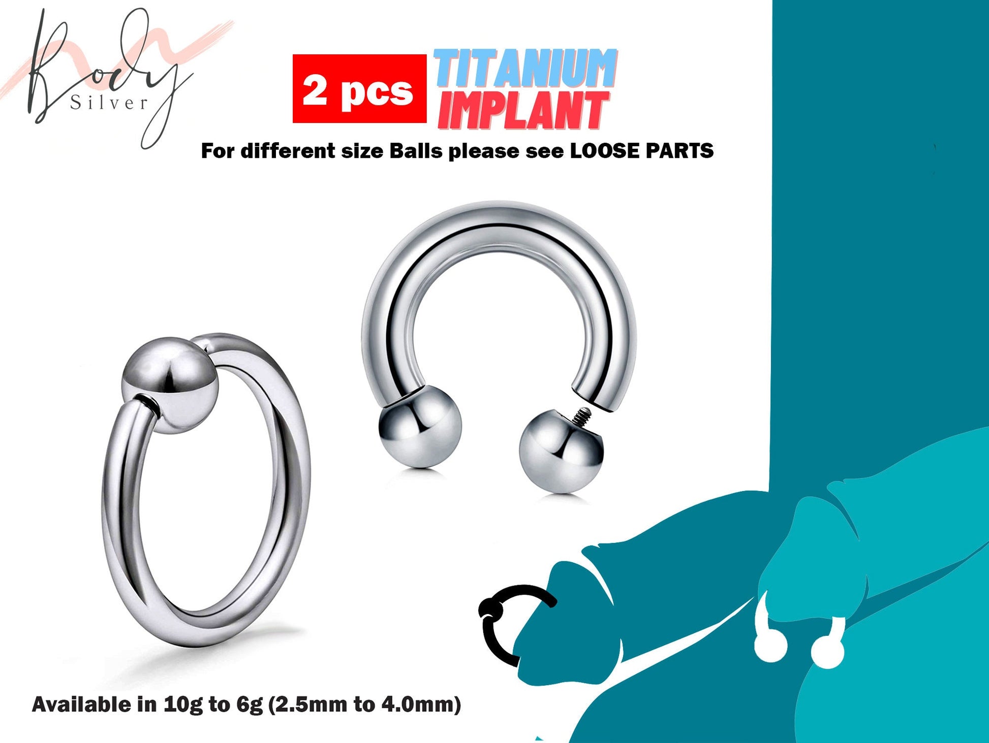 Titanium Prince Albert Piercing, Horseshoe PA Ring and Captive Bead Ring – 2pcs Piercing for Genital, Septum Ring, Lip, Nipple – 10g to 00g