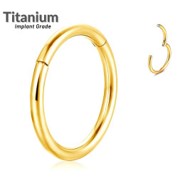 Titanium Hinged Segment Ring - Gold - Quality tested by Sheffield Assay Office England